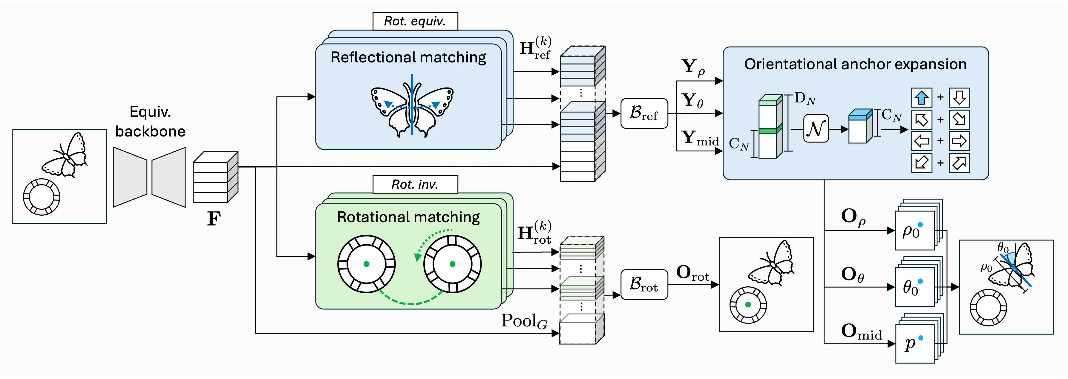 Axis-level Symmetry Detection with Group-Equivariant Representation